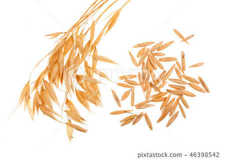oat spike with grains isolated on white background oat spike with grains isolated on white background 46398542