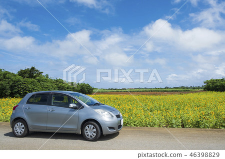 Summer Drive 46398829