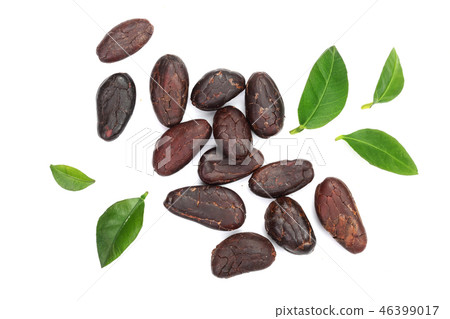 cocoa bean with leaf isolated on white background top view. Flat lay cocoa bean with leaf isolated on white background top view. Flat lay 46399017