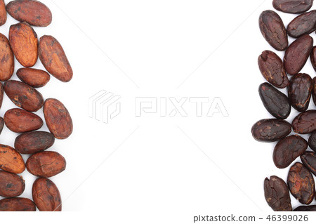 cocoa bean isolated on white background with copy space for your text. Top view. Flat lay cocoa bean isolated on white background with copy space for your text. Top view. Flat lay 46399026