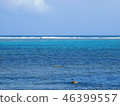 Sea	 46399557