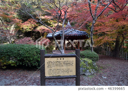 Kintai Bridge Autumn leaves Kintai Bridge Autumn leaves 46399665