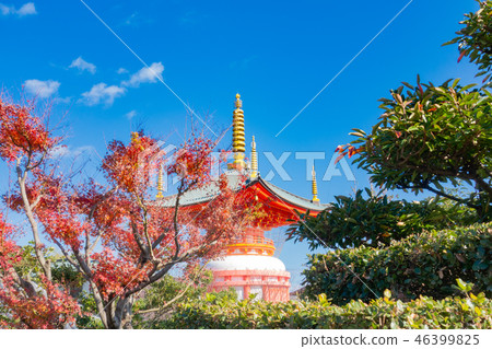 兵庫縣淡路島八丈寺 46399825