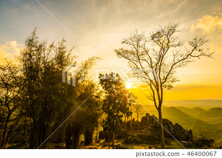 Beautiful tree lighting  8 46400067