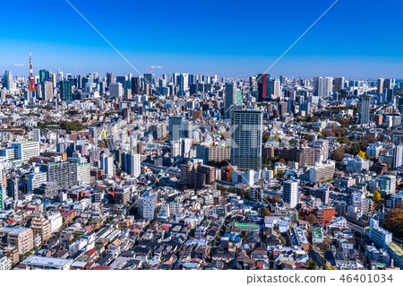 《東京》東京城市景觀/東京市中心全景 46401034