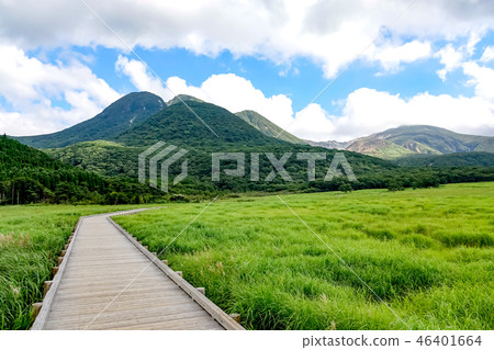 The early summer tadelic moorland 46401664