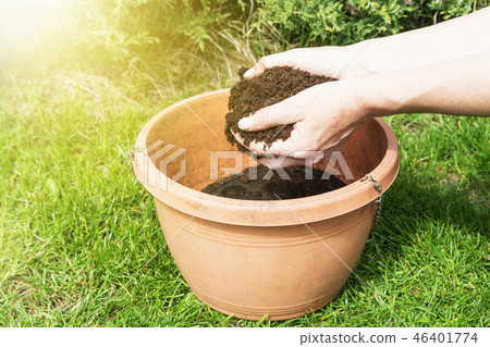 Gardening - putting soil into a flower pot 46401774