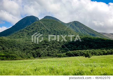 Tade原始濕地Higo Thai Tade原始濕地Higo Thai 46402070
