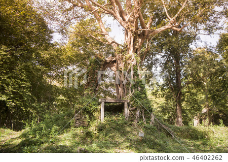 CAMBODIA KAMPONG THOM SAMBOR PREI KUK TEMPLE CAMBODIA KAMPONG THOM SAMBOR PREI KUK TEMPLE 46402262