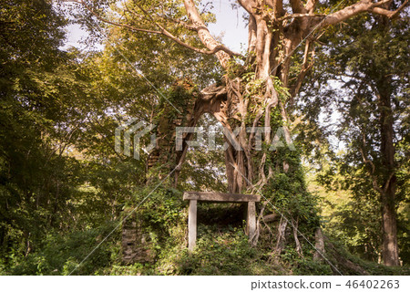 CAMBODIA KAMPONG THOM SAMBOR PREI KUK TEMPLE 46402263