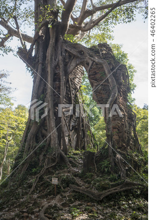 CAMBODIA KAMPONG THOM SAMBOR PREI KUK TEMPLE 46402265
