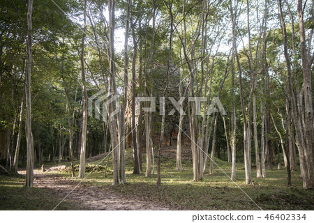 CAMBODIA KAMPONG THOM SAMBOR PREI KUK TEMPLE 46402334