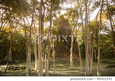 CAMBODIA KAMPONG THOM SAMBOR PREI KUK TEMPLE 46402343