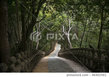 CAMBODIA KAMPONG THOM PHNOM SANTUK TEMPLE 46402481