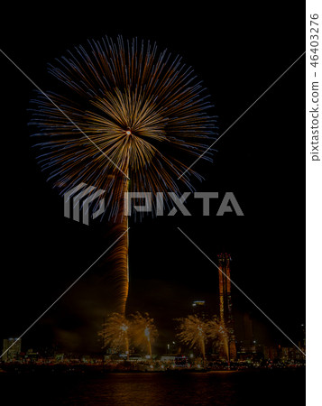 Fireworks on the Han River Fireworks on the Han River 46403276