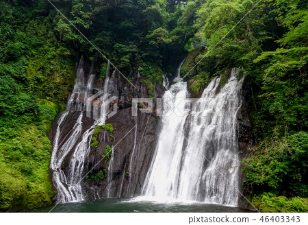 Yangmei Valley Shiramizu Falls Yangmei Valley Shiramizu Falls 46403343