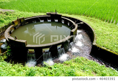 Round branch of water noise no well Round branch of water noise no well 46403391