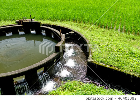 Round branch of water noise no well Round branch of water noise no well 46403392
