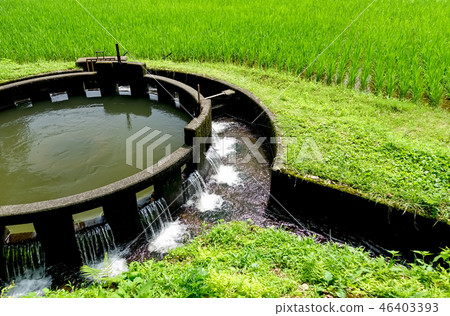 Round branch of water noise no well Round branch of water noise no well 46403393