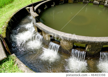 Round branch of water noise no well 46403398