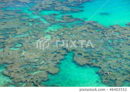 夏威夷哈瑙瑪灣 46403552