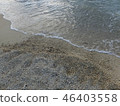 一個海灘 46403558