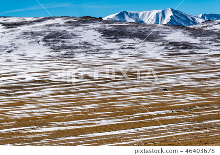 View of beautiful mountain with the horsemen 46403678