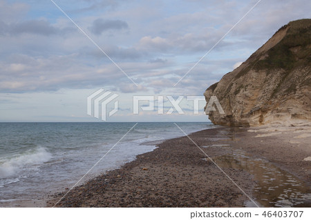 Bulbjerg, the only bird cliff  46403707