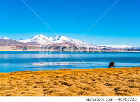 View of snow mountain and the village 46403726