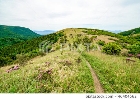 獵人的山路 46404562