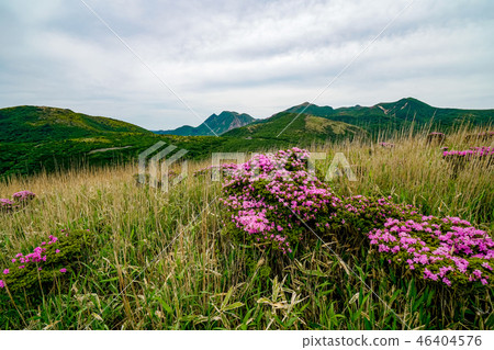 獵人的山路 獵人的山路 46404576