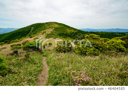 獵人的山路 獵人的山路 46404585
