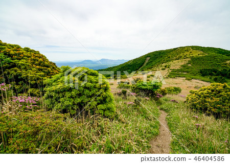 獵人的山路 46404586