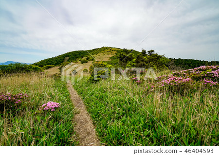 Hunter's mountain trail 46404593
