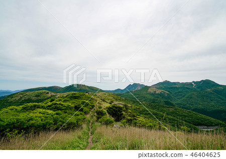 獵人的山路 46404625
