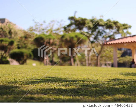Park on a sunny day Park on a sunny day 46405438