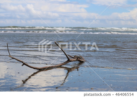 Driftwood Kujukuri Sea Sea view 46406554