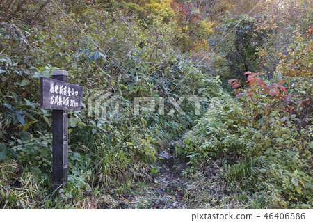 在秋葉谷川岳（町澤德愛，路標） 46406886