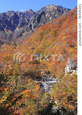在秋葉的谷川山(牧川澤會議) 在秋葉的谷川山(牧川澤會議) 46406891