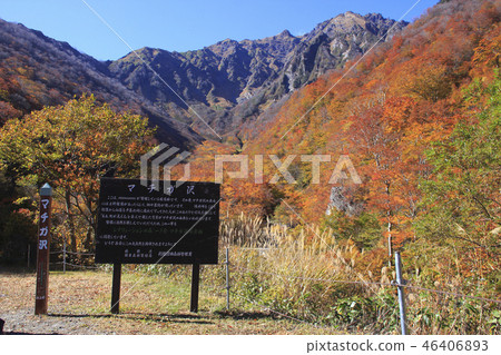 在秋葉的谷川山(牧川澤會議) 在秋葉的谷川山(牧川澤會議) 46406893