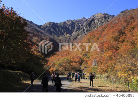 在秋葉的谷川山（牧川澤會議） 46406895
