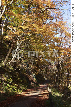 In Tanigawadake of autumn leaves (base plaza → Machiga Sawade meeting) 46406911