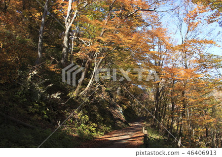 In Tanigawadake of autumn leaves (base plaza → Machiga Sawade meeting) 46406913