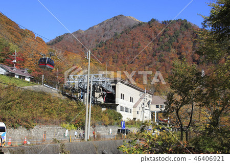 在Tanigawadake的秋葉(Tanigawadake索道Doiguchi站) 在Tanigawadake的秋葉(Tanigawadake索道Doiguchi站) 46406921