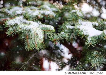 Closeup of Christmas tree with snowflake. Closeup of Christmas tree with snowflake. 46407564