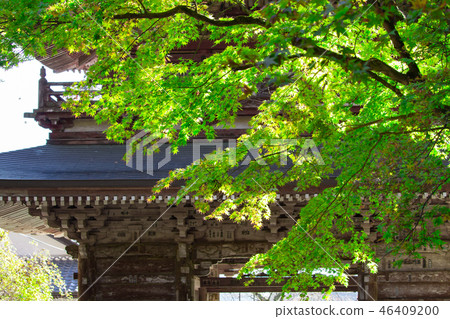 Temple and maple trees Temple and maple trees 46409200