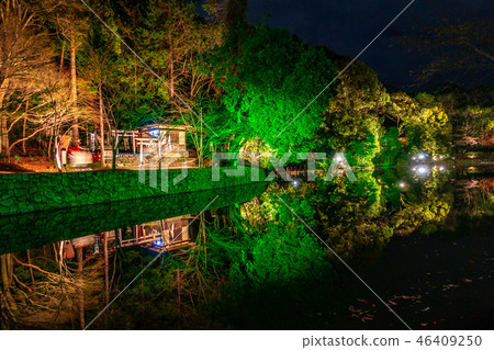 Arashiyama Kokuraike light up 46409250