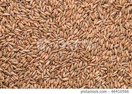 Natural rye grains background 46410566