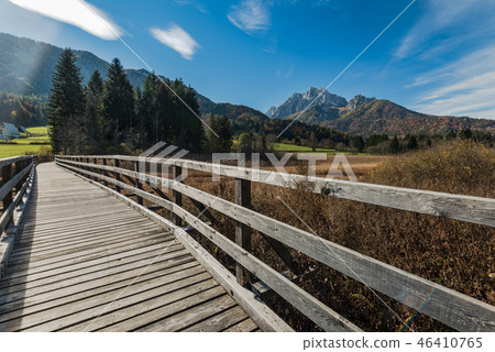 Wooden footbridge at Zelenci Nature,SLovenia Wooden footbridge at Zelenci Nature,SLovenia 46410765