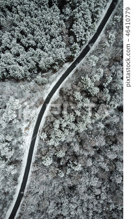 Country road through the beautiful snow covered  46410779